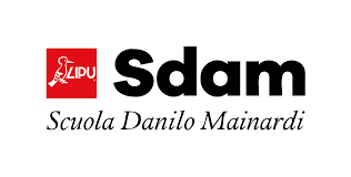 logo sdam