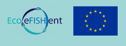 Logo ecoefishent