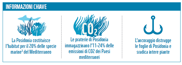 Effetti cambiamenti climatici_4