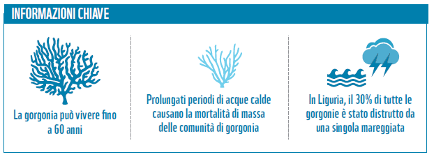 Effetti cambiamenti climatici_5