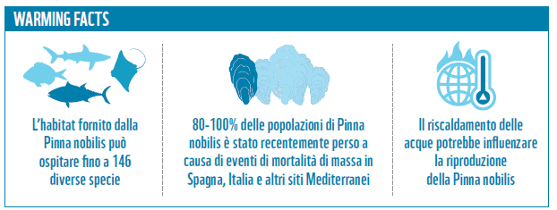 Effetti cambiamenti climatici_6